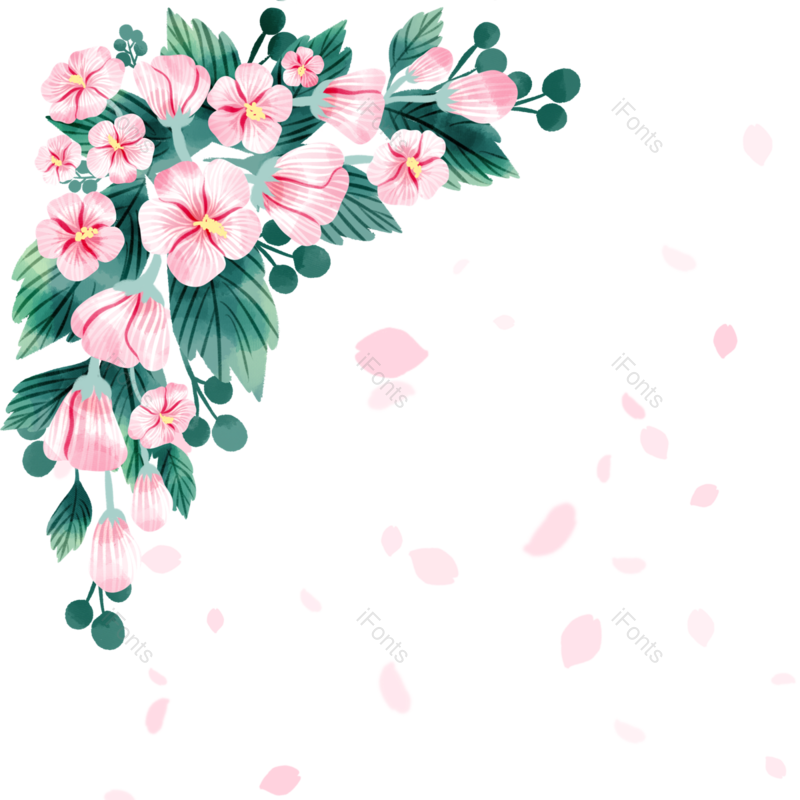 叶子图片,边框元素,装饰PNG,花环免抠素材